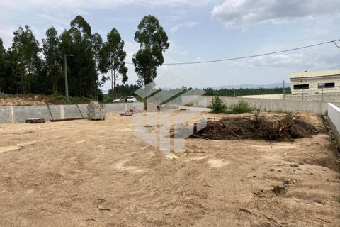 Helårsgrund i Tabua, Coimbra, Tabua - € 40.000 | Ref: LMF025 - foto 16