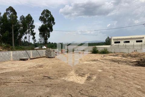 Helårsgrund i Tabua, Coimbra, Tabua - € 40.000 | Ref: LMF025 - foto 17