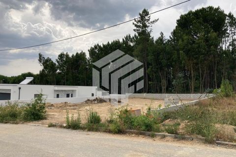 Helårsgrund i Tabua, Coimbra, Tabua - € 40.000 | Ref: LMF025 - foto 18