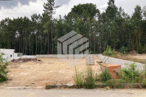 Helårsgrund i Tabua, Coimbra, Tabua - € 40.000 | Ref: LMF025 - foto 19