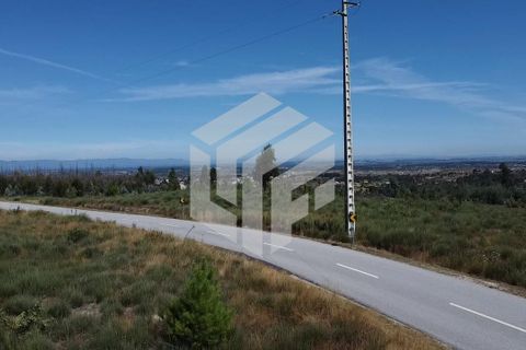 Helårsgrund i Seia, Guarda, Seia - € 12.500 | Ref: LMF024 - foto 7