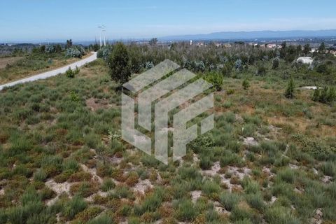 Helårsgrund i Seia, Guarda, Seia - € 12.500 | Ref: LMF024 - foto 8