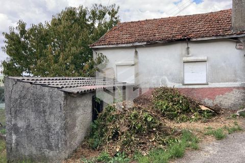 Villa i Seia, Guarda, Seia - € 30.000 | Ref: LMF043 - foto 14