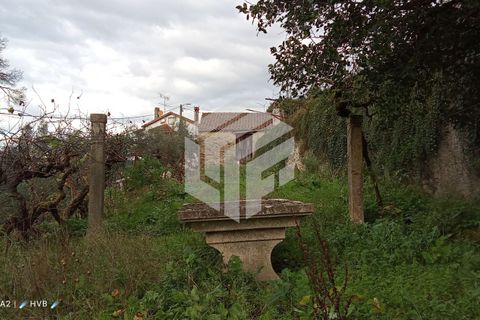 Villa i Arganil, Coimbra, Arganil - € 350.000 | Ref: LMF057 - foto 39