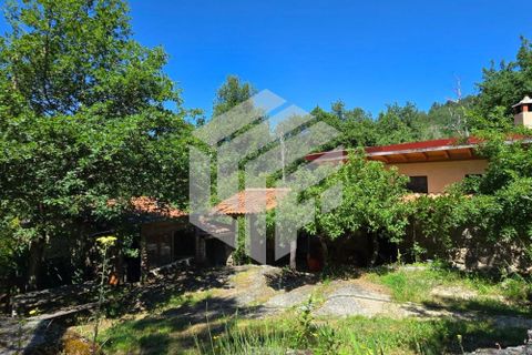 Landejendom i Tabua, Coimbra, Tabua - € 280.000 | Ref: LMF076 - foto 2
