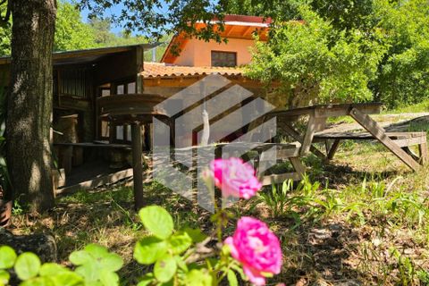 Landejendom i Tabua, Coimbra, Tabua - € 280.000 | Ref: LMF076 - foto 3