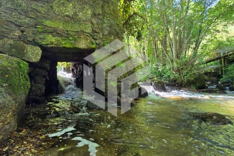 Landejendom i Tabua, Coimbra, Tabua - € 280.000 | Ref: LMF076 - foto 4