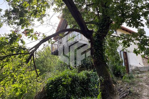 Landejendom i Tabua, Coimbra, Tabua - € 280.000 | Ref: LMF076 - foto 5