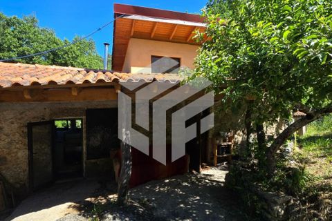 Landejendom i Tabua, Coimbra, Tabua - € 280.000 | Ref: LMF076 - foto 6