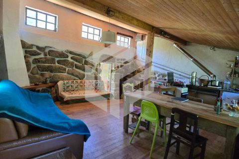Landejendom i Tabua, Coimbra, Tabua - € 280.000 | Ref: LMF076 - foto 9