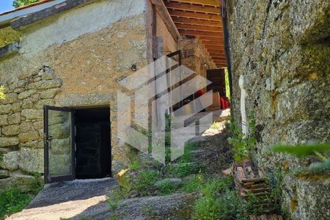 Landejendom i Tabua, Coimbra, Tabua - € 280.000 | Ref: LMF076 - foto 10