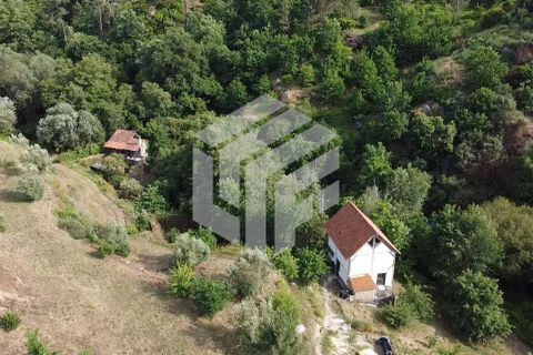 Landejendom i Tabua, Coimbra, Tabua - € 280.000 | Ref: LMF076 - foto 12