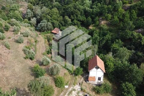 Landejendom i Tabua, Coimbra, Tabua - € 280.000 | Ref: LMF076 - foto 13