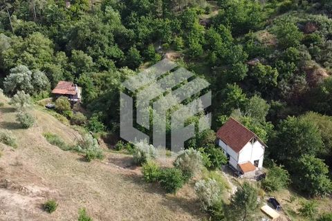 Landejendom i Tabua, Coimbra, Tabua - € 280.000 | Ref: LMF076 - foto 14