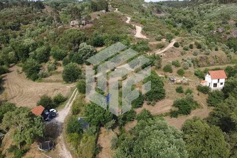 Landejendom i Tabua, Coimbra, Tabua - € 280.000 | Ref: LMF076 - foto 15