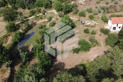 Landejendom i Tabua, Coimbra, Tabua - € 280.000 | Ref: LMF076 - foto 16