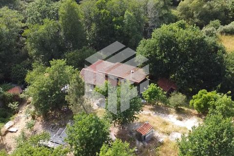 Landejendom i Tabua, Coimbra, Tabua - € 280.000 | Ref: LMF076 - foto 17