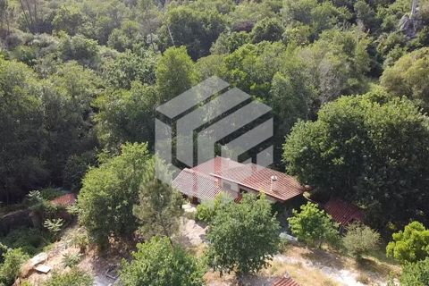 Landejendom i Tabua, Coimbra, Tabua - € 280.000 | Ref: LMF076 - foto 18