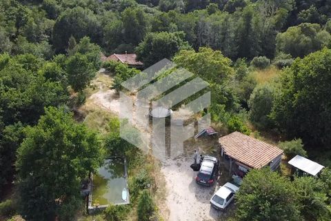 Landejendom i Tabua, Coimbra, Tabua - € 280.000 | Ref: LMF076 - foto 19