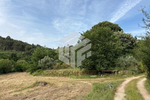 Landejendom i Tabua, Coimbra, Tabua - € 280.000 | Ref: LMF076 - foto 22