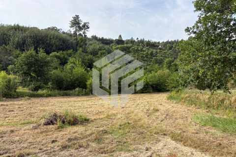 Landejendom i Tabua, Coimbra, Tabua - € 280.000 | Ref: LMF076 - foto 24