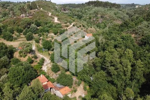 Landejendom i Tabua, Coimbra, Tabua - € 280.000 | Ref: LMF076 - foto 25
