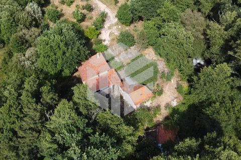 Landejendom i Tabua, Coimbra, Tabua - € 280.000 | Ref: LMF076 - foto 26