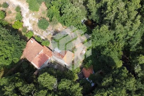 Landejendom i Tabua, Coimbra, Tabua - € 280.000 | Ref: LMF076 - foto 27