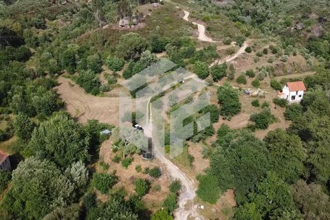 Landejendom i Tabua, Coimbra, Tabua - € 280.000 | Ref: LMF076 - foto 28