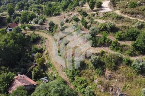 Landejendom i Tabua, Coimbra, Tabua - € 280.000 | Ref: LMF076 - foto 29
