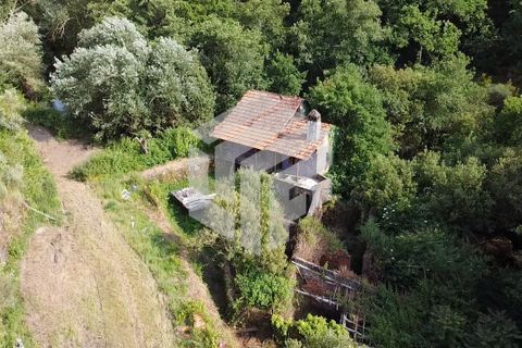 Landejendom i Tabua, Coimbra, Tabua - € 280.000 | Ref: LMF076 - foto 30