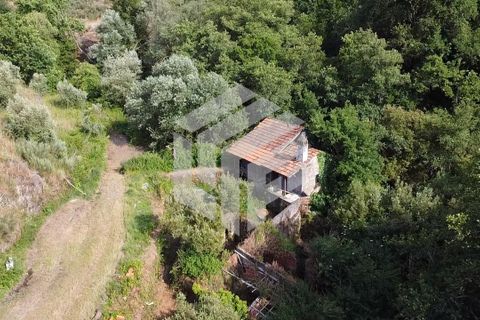 Landejendom i Tabua, Coimbra, Tabua - € 280.000 | Ref: LMF076 - foto 31