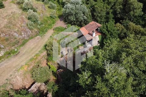 Landejendom i Tabua, Coimbra, Tabua - € 280.000 | Ref: LMF076 - foto 32