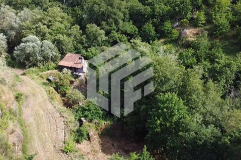 Landejendom i Tabua, Coimbra, Tabua - € 280.000 | Ref: LMF076 - foto 33