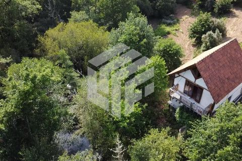 Landejendom i Tabua, Coimbra, Tabua - € 280.000 | Ref: LMF076 - foto 34