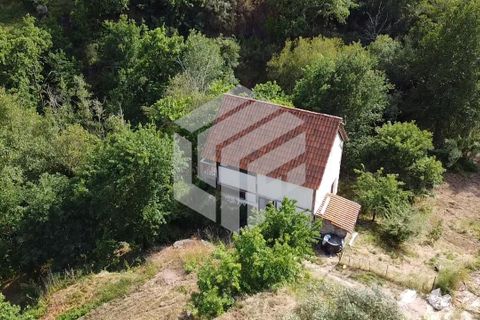 Landejendom i Tabua, Coimbra, Tabua - € 280.000 | Ref: LMF076 - foto 35