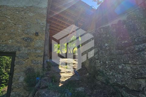 Landejendom i Tabua, Coimbra, Tabua - € 280.000 | Ref: LMF076 - foto 37