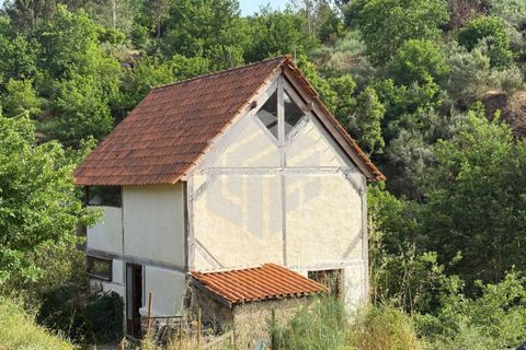 Landejendom i Tabua, Coimbra, Tabua - € 280.000 | Ref: LMF076 - foto 39
