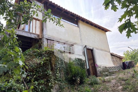 Landejendom i Tabua, Coimbra, Tabua - € 280.000 | Ref: LMF076 - foto 40