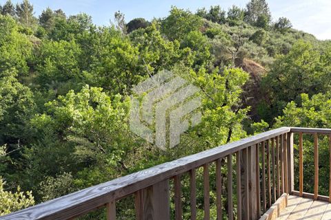 Landejendom i Tabua, Coimbra, Tabua - € 280.000 | Ref: LMF076 - foto 41