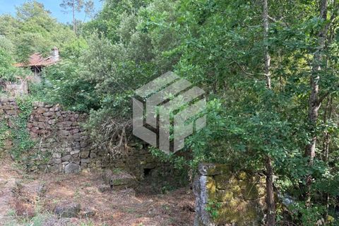 Landejendom i Tabua, Coimbra, Tabua - € 280.000 | Ref: LMF076 - foto 45