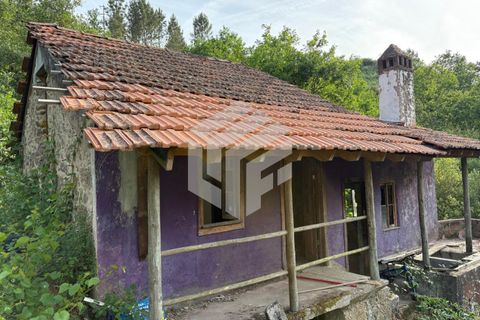 Landejendom i Tabua, Coimbra, Tabua - € 280.000 | Ref: LMF076 - foto 46