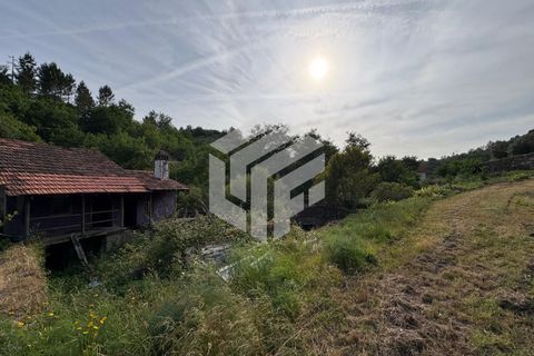 Landejendom i Tabua, Coimbra, Tabua - € 280.000 | Ref: LMF076 - foto 47