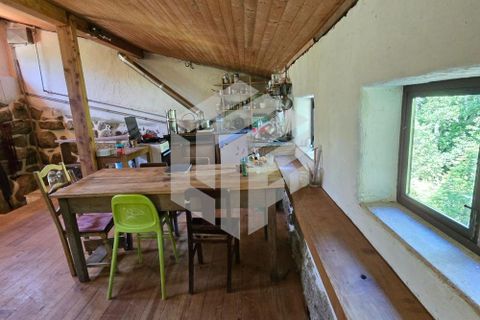 Landejendom i Tabua, Coimbra, Tabua - € 280.000 | Ref: LMF076 - foto 48
