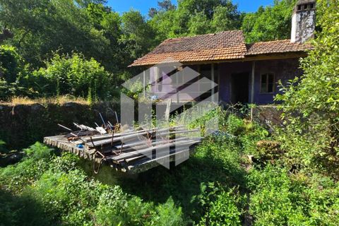 Landejendom i Tabua, Coimbra, Tabua - € 280.000 | Ref: LMF076 - foto 50