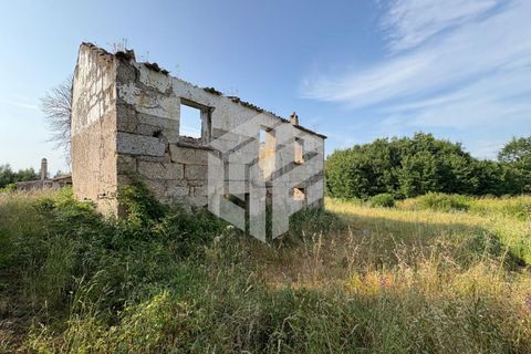 Landejendom i Tabua, Coimbra, Tabua - € 75.000 | Ref: LMF080 - foto 3