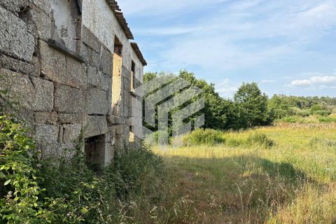 Landejendom i Tabua, Coimbra, Tabua - € 75.000 | Ref: LMF080 - foto 4