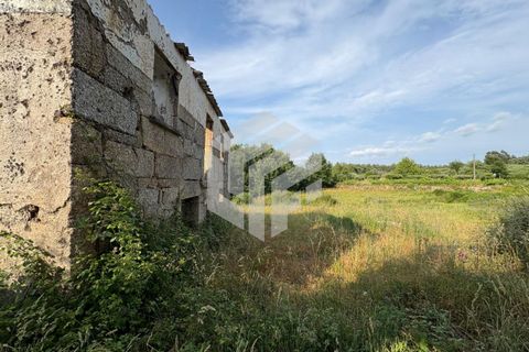 Landejendom i Tabua, Coimbra, Tabua - € 75.000 | Ref: LMF080 - foto 5