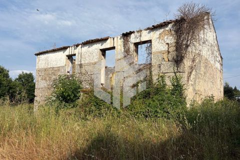 Landejendom i Tabua, Coimbra, Tabua - € 75.000 | Ref: LMF080 - foto 6