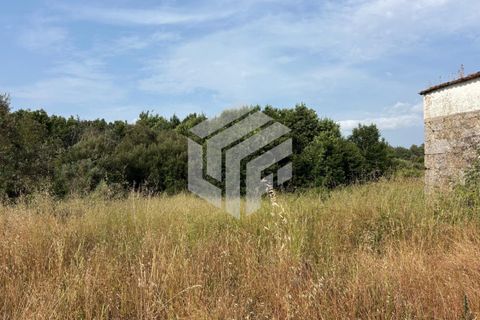 Landejendom i Tabua, Coimbra, Tabua - € 75.000 | Ref: LMF080 - foto 8